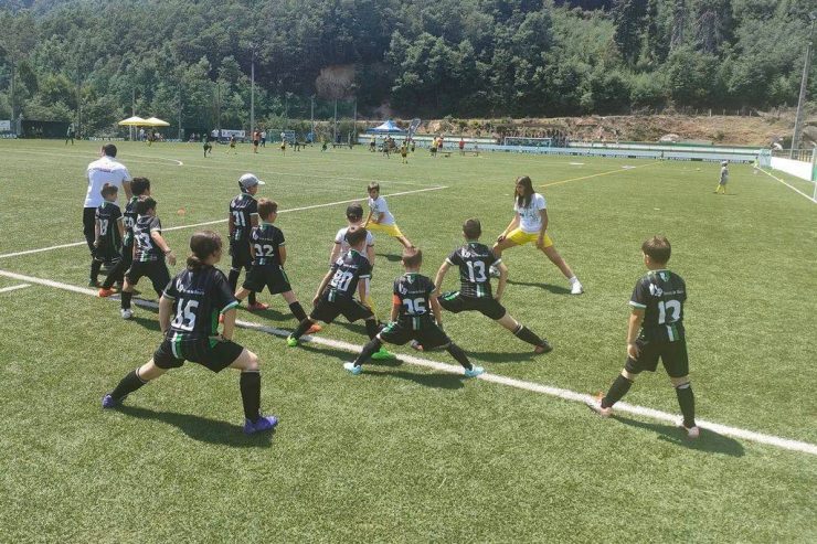 Alijó Cup